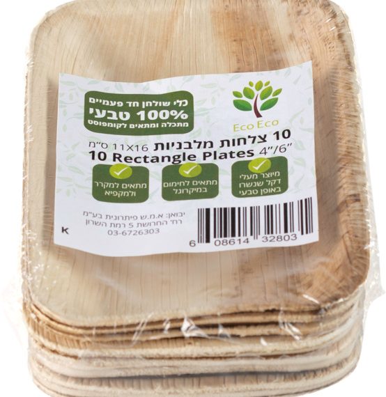 צלחת מלבנית עלי דקל 11 כפול 16 סמ 10 יחידות